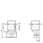3SB3606-0AA41 (3SB36060AA41, 3SB36O6-OAA41, 3SB36O6OAA41) КОМПЛЕКТНОЕ УСТРОЙСТВО, КНОПКА ПЛОСКАЯ КРУГЛАЯ С ПОДСВЕТКОЙ ЗЕЛЕНАЯ, 1НO, ПАТРОН BA9S МЕТАЛЛИЧ.