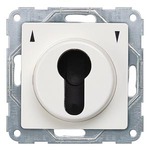 Купить 5TA7670 (5TA767O) DELTA I-SYSTEM ТИТАНОВО-БЕЛЫЙ ВЫКЛЮЧАТЕЛЬ ЖАЛЮЗИС КЛЮЧЕМ 2-ПОЛЮС. ДЛЯ СИСТЕМ MASTER KEY 55Х55ММ МОНТИРУЕМЫЙ ПОД ШТУКАТУРКУ  С ФИКСАЦИЕЙ КРАЙНИХ ПОЗИЦИЙ В ОБОИХ НАПРАВЛЕНИЯХ И СИМВ. ВВЕРХ/ВНИЗ