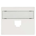 Купить 5TG5533-3WH (5TG55333WH) IRIS COVER PLATE FOR ADAPTER 1FOLD RJ11, 45 WITH LABEL FIELD POLAR WHITE