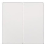 5TG6205 (5TG62O5) DELTA I-SYSTEM ТИТАНОВО-БЕЛЫЙ ВЫКЛЮЧАТЕЛЬ 2 КЛАВИШИ С НУЛЕВЫМ ПРОВОДНИКОМ 55X55MM
