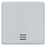 5TG6240 (5TG624O) DELTA I-SYSTEM АЛЮМИНЕВЫЙ МЕТАЛЛИК ВЫКЛЮЧАТЕЛЬ 1 КЛАВИША С ОКНОМ 55X55MM