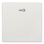 Купить 5TG7148-1 (5TG71481) DELTA STYLE КЛАВИША ДВЕРЬ ПЛАТИНОВЫЙ МЕТАЛЛИК