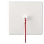 Купить 5TG7151-1 (5TG71511) DELTA STYLE КЛАВИША. PULL-BUTTON ПЛАТИНОВЫЙ МЕТАЛЛИК