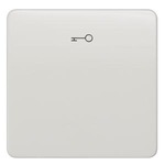 Купить 5TG7808 (5TG78O8) DELTA PROFIL ТИТАНОВО-БЕЛЫЙ ВЫКЛЮЧАТЕЛЬ 1 КЛАВИША С СИМВОЛОМ КЛЮЧ
