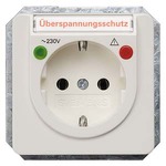 Купить 5UB1486 DELTA PROFIL ТИТАНОВО-БЕЛЫЙ РОЗЕТКА SCHUKO 10A DC/16A AC 250В  С ЗАЩИТОЙ ОТ ПЕРЕНАПРЯЖЕНИЙ, ФУНКЦИОНАЛЬНЫМИ ИНДИКАТОРАМИ С БЕЗРЕЗЬБОВЫМИ КОНТАКТНЫМИ ЗАЖИМАМИ И ПОЛЕМ ДЛЯ НАДПИСИ ЭЛ.-МЕХ.ЧАСТЬ