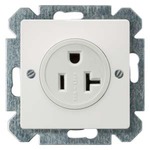 Купить 5UB1534 DELTA I-SYSTEM NEMA РОЗЕТКА ТИТАНОВОБЕЛЫЙ 2-ПОЛ +E NEMA 5-20 R 125V 20A
